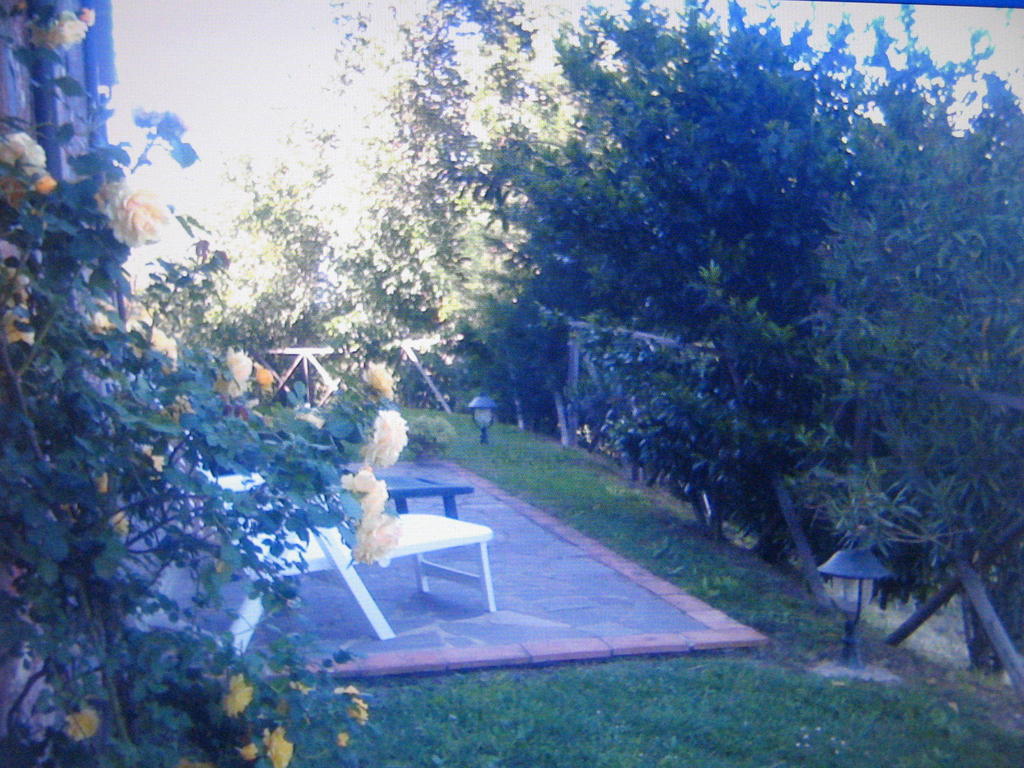 Certine Agriturismo Asciano Bagian luar foto