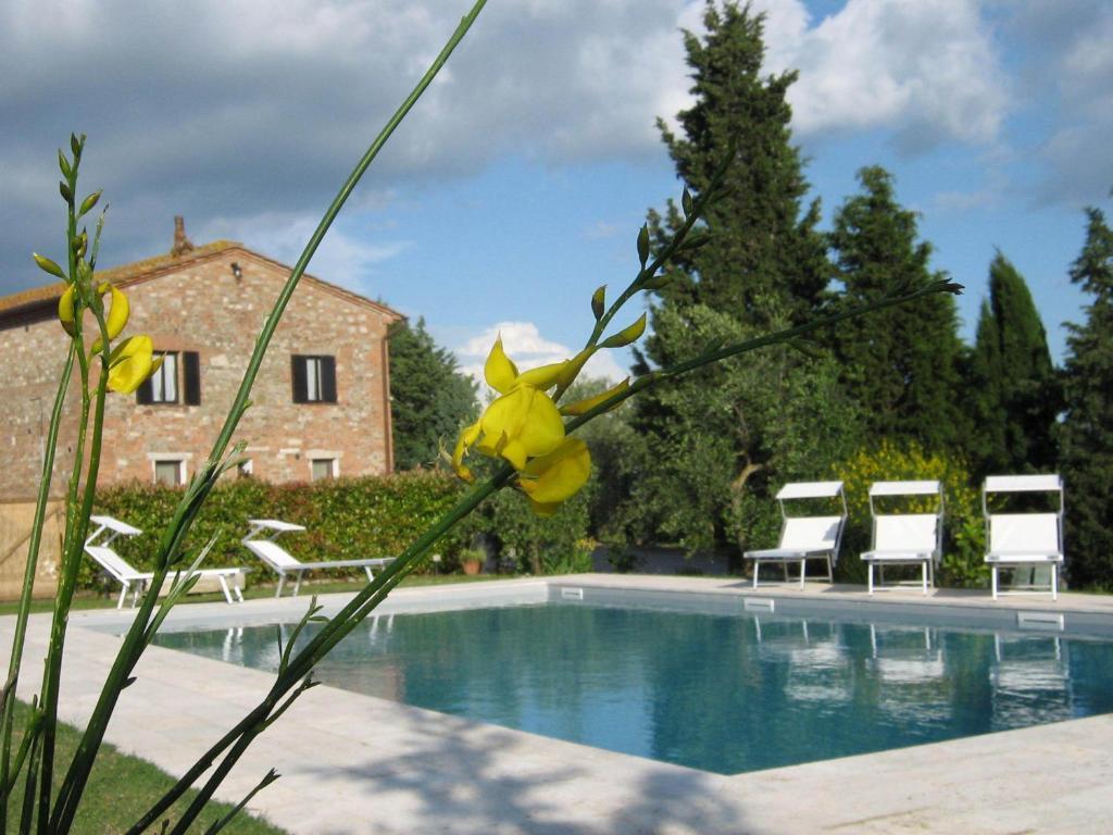 Certine Agriturismo Asciano Bagian luar foto