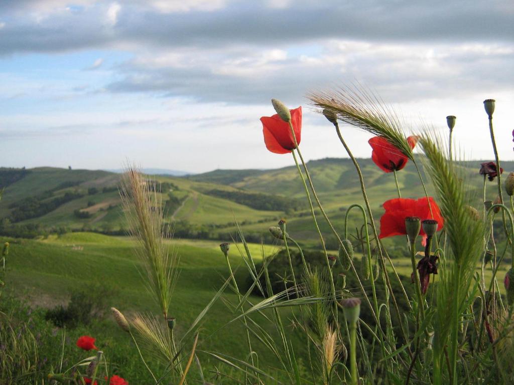 Certine Agriturismo Villa Asciano Bagian luar foto