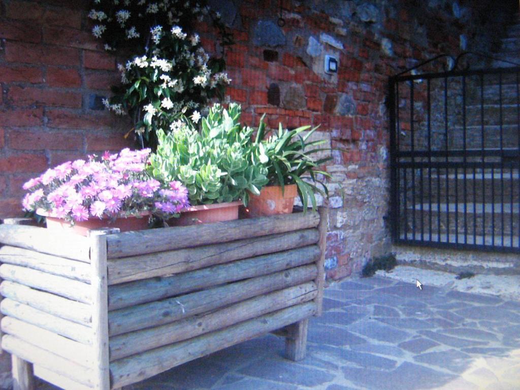 Certine Agriturismo Asciano Bagian luar foto