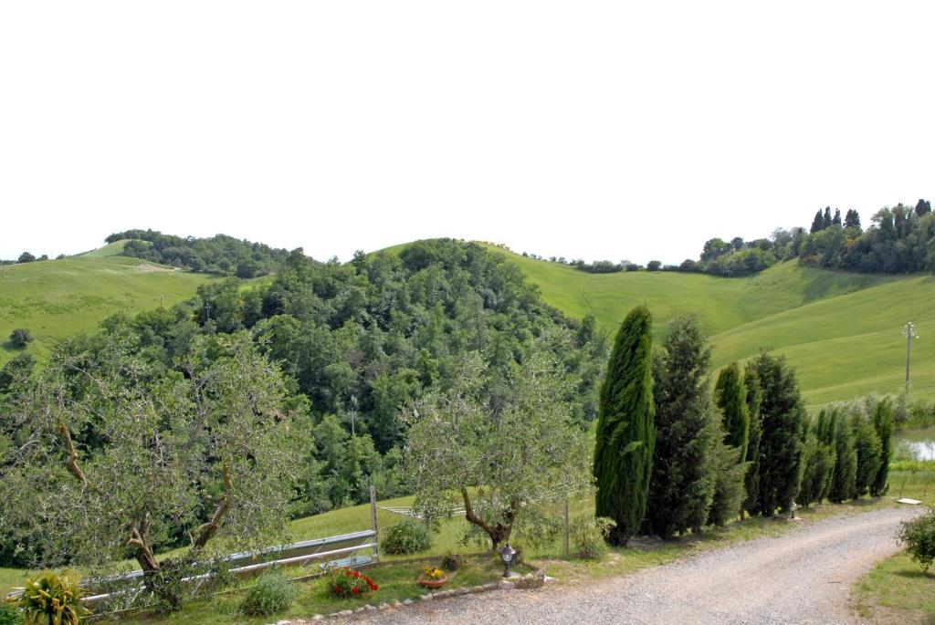 Certine Agriturismo Asciano Bagian luar foto