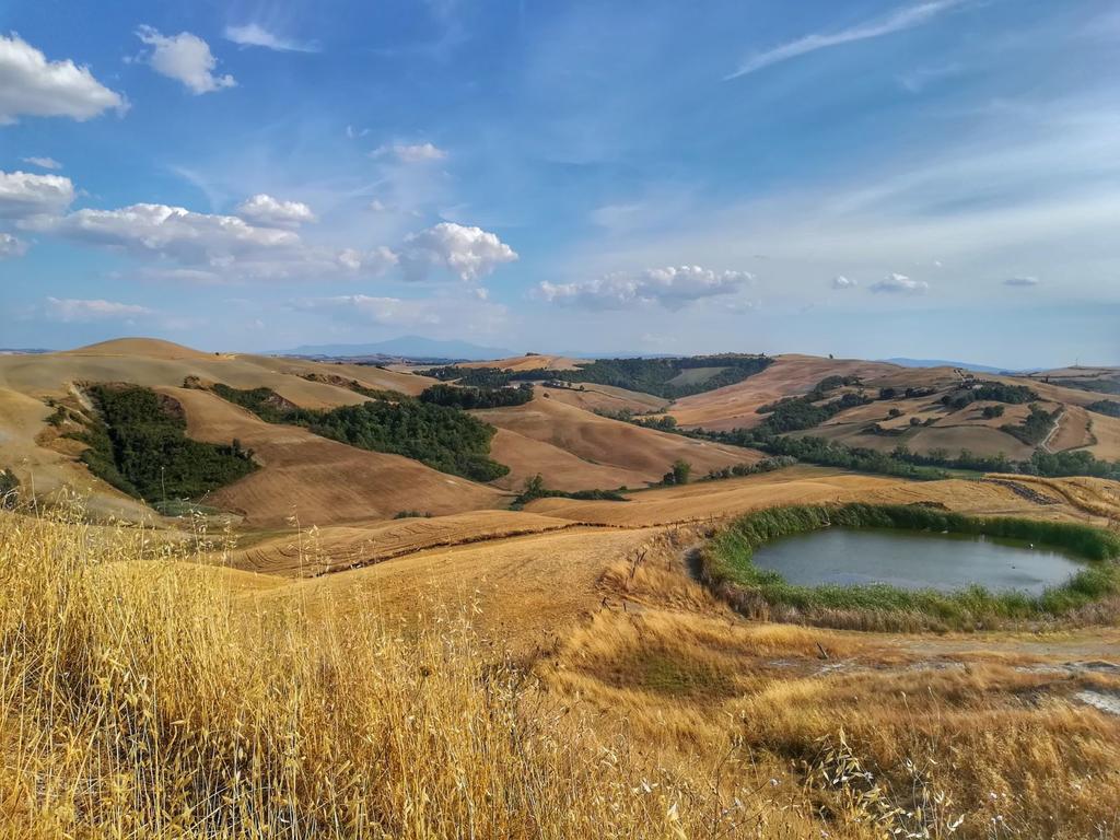 Certine Agriturismo Asciano Bagian luar foto