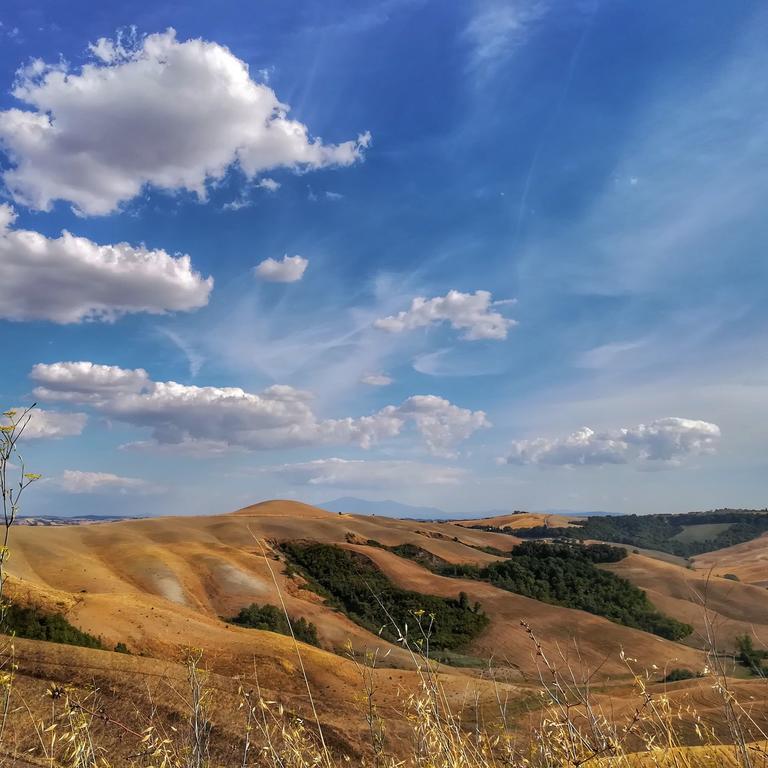 Certine Agriturismo Asciano Bagian luar foto